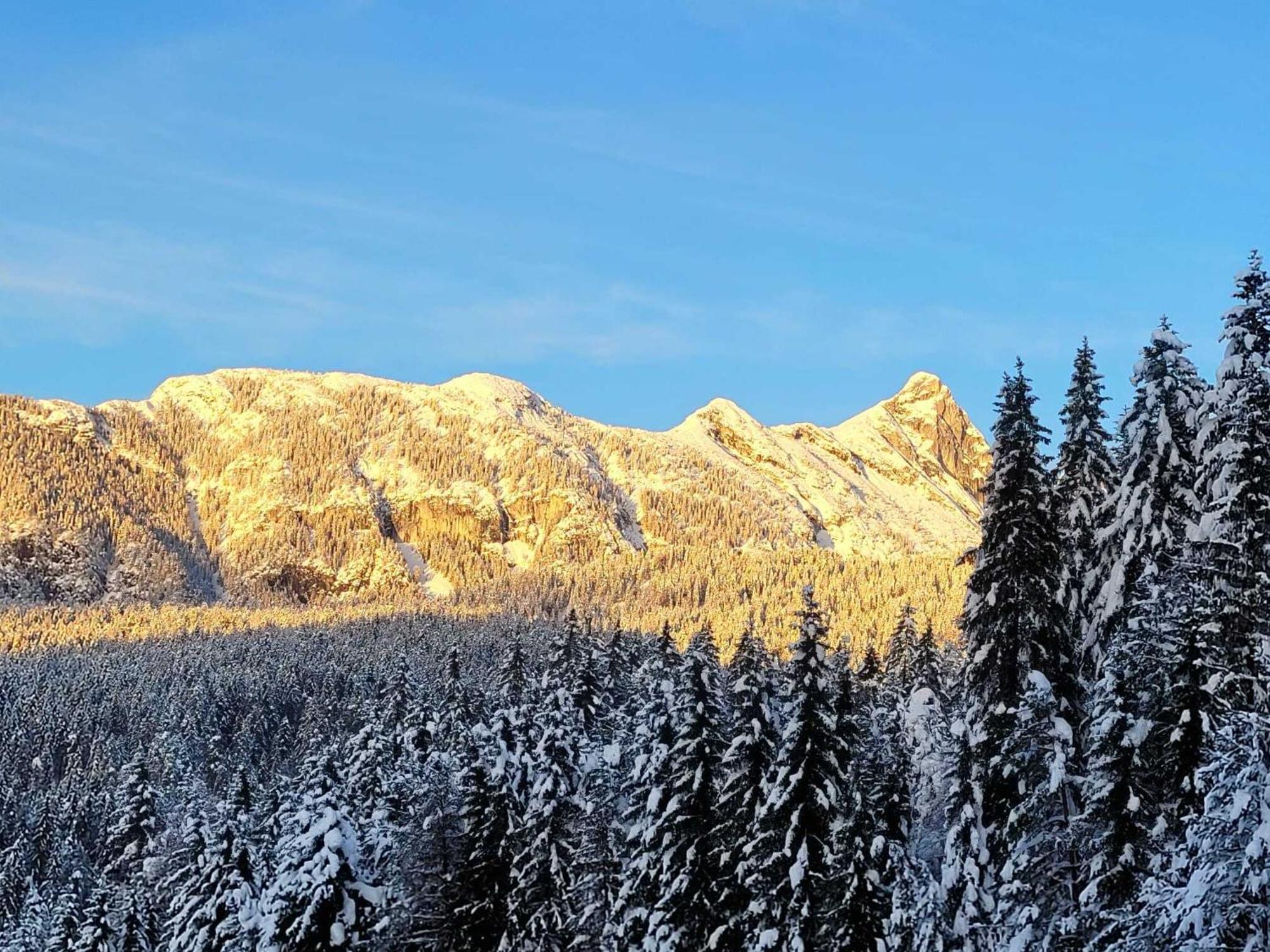 Alpenchalet Im Leutaschtal Екстер'єр фото